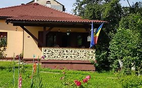 La Mihai